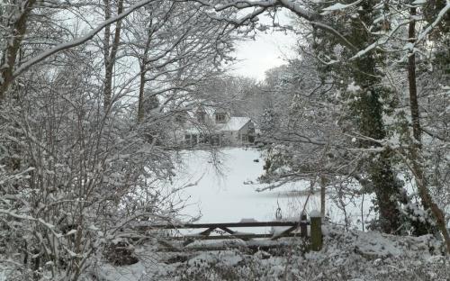 House in the wood